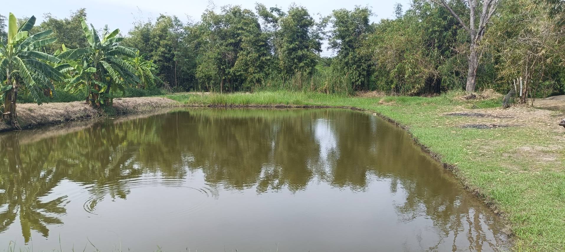 title - ผู้ตรวจราชการ ส.ป.ก. ประชุมตรวจติดตามความก้าวหน้าผลการดำเนินงานตามแผนการตรวจราชการของ ส.ป.ก. ประจำปีงบประมาณ พ.ศ. 2568 รอบที่ 2 เขตตรวจราชการที่ 1 จังหวัดพระนครศรีอยุธยา และลงพื้นที่ให้กำลังใจเกษตรกร ในการตรวจเยี่ยมและติดตามงานในพื้นที่เขตปฏิรูปที่ดินจังหวัดพระนครศรีอยุธยา